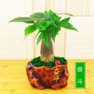 黎诚