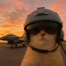 橘子的头像-博士钣金 - www.bsbanjin.com