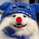 zjmsnd的头像-松纸工作室博客