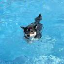 Cx330的头像-博士钣金 - www.bsbanjin.com