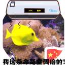 Jཻ宇ཻ梅ཻ