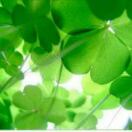 qqqq的头像 - 腾飞博客