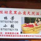 罗女士的头像