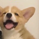邢呂源.