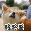 高先生的头像