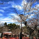 A与众不同₂₀₂₆