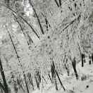 相信自己龙小兵