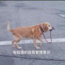 贵州快手-陈柯