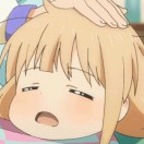 乖乖豬
