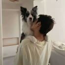 Kiss头像