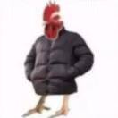 BOLO