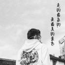 潘先生的头像