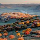 吴博的头像-外科技术网