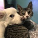 反矫情达人的头像-梦马考研