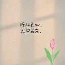 甜豆浆