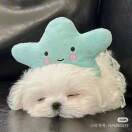 京墨的头像-拟人圈