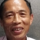 杨张鸣的头像-中医教程博客