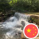 馮