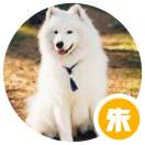 user icon