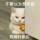 睢先生的头像