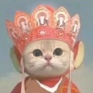 刘女士的头像