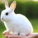 💔ꦿ໊余生᭄🕊随心᭄ꦿᩚ٭