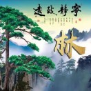 经济师《经济基础知识（中级）》教材精编（2016）