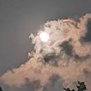 李易城（林生）-秀琴曲谱网