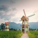 风雨兼程店主头像