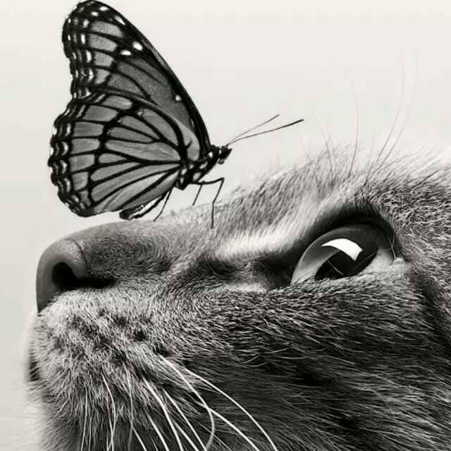 易百纳技术社区