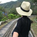 李卓阳
