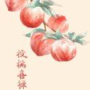 A河北水果产地供应链小曹