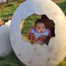 我都佩服我计几