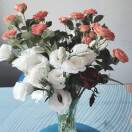 生活的头像-博士钣金 - www.bsbanjin.com