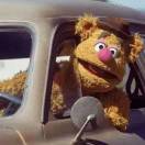 樱色地花的头像 - 校园论坛