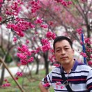 标的头像