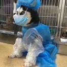 開心就好