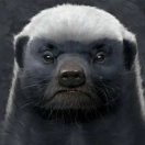 李先生的头像