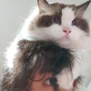 ㅤAlan