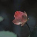 随心随性