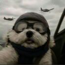 用户27461540的头像-博士钣金 - www.bsbanjin.com