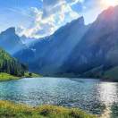 打板游击队✨羊