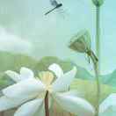 不落的秋叶的头像_知识产权零距离网（IP0.cn）