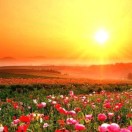 江湖夜雨十年灯