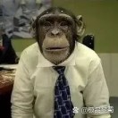 热女士的头像
