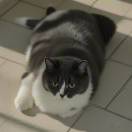xy