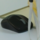 羊羊