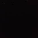 放纵L/dj