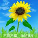 超凡