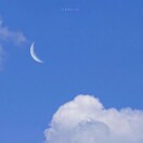 会金身的猴ᯤ⁵ᴳ